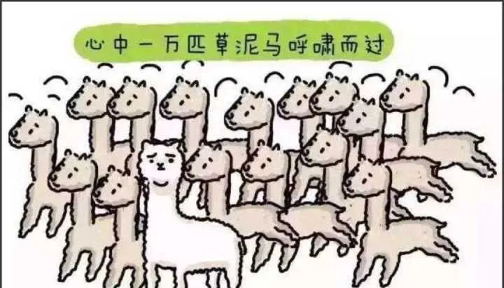 心里一直万只草泥马在奔腾.