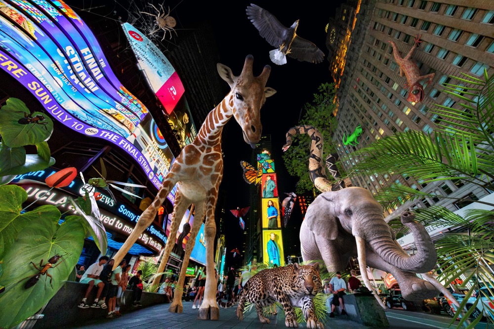 纽约时代广场宣布推出AR活动，在广场中为游客带来虚拟野生动物园体验