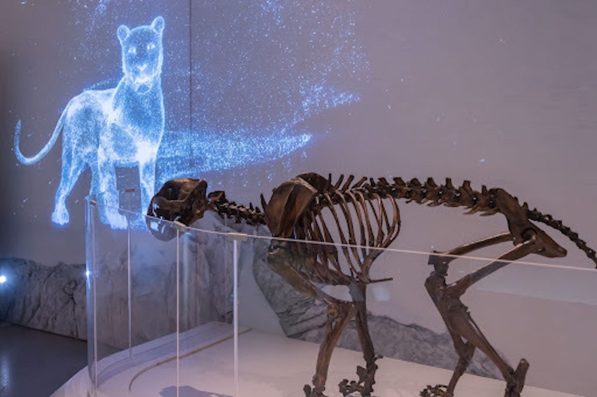 加拿大自然博物馆推出AR应用，结合主题展览帮助游客了解冰河世纪