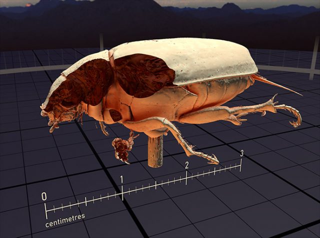 Valve发布SteamVR 1.23更新，为VR空间新增一系列“死虫子”