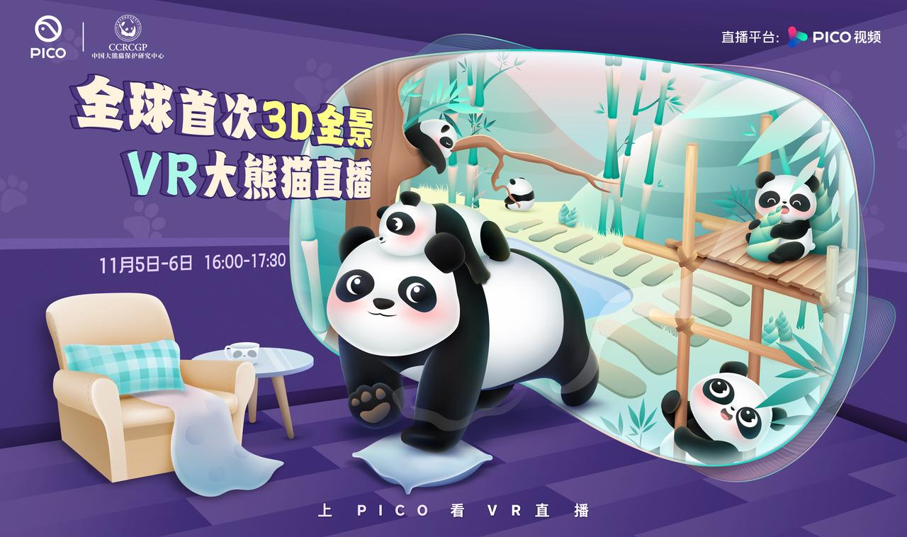 首次3D全景VR大熊猫直播，PICO视频带来沉浸式“云投喂”体验