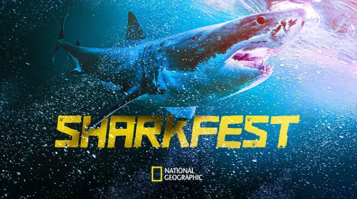 美国国家地理频道推出教育AR体验“SHARKFEST”