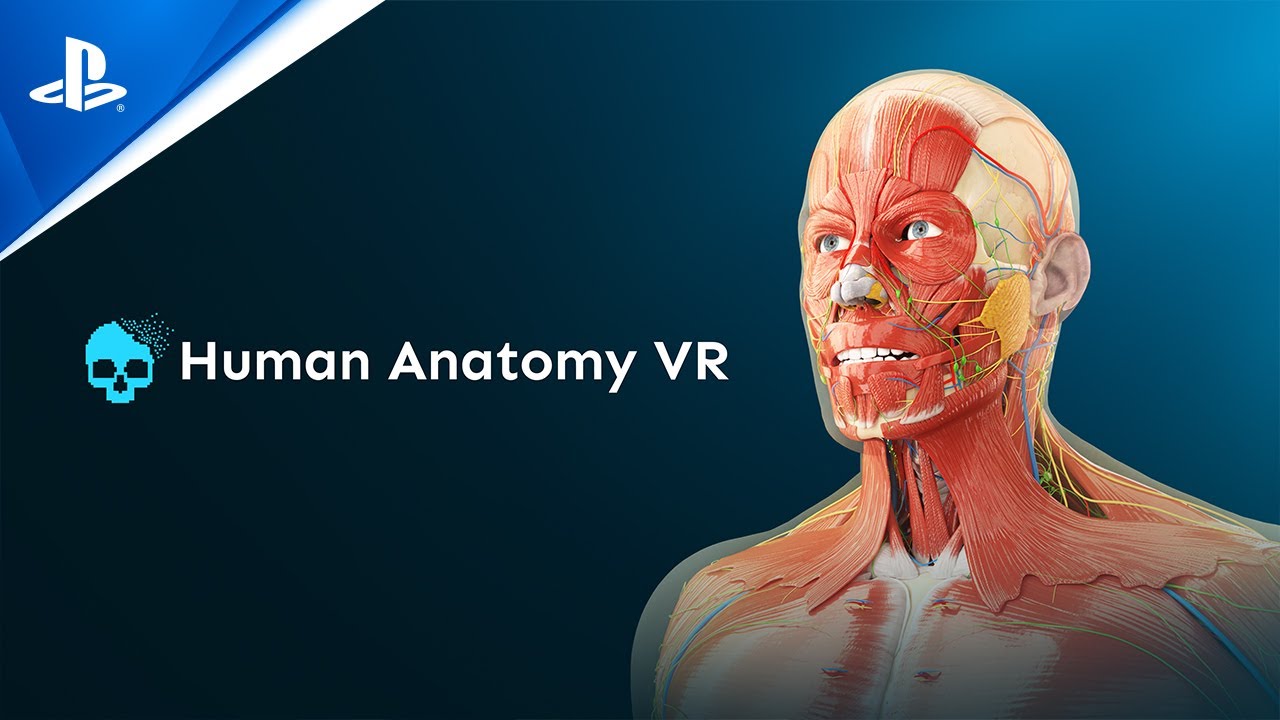 VR解剖教育应用《Human Anatomy VR》现已登陆PS VR2