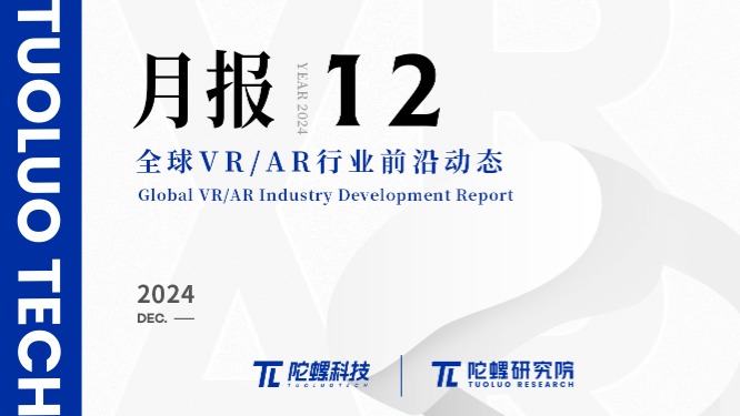 2024年12月VR/AR行业月报