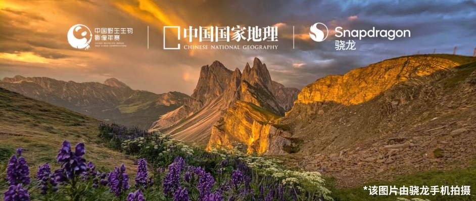 从手机到AI眼镜，高通和中国国家地理正在打开自然影像的第一人称时代